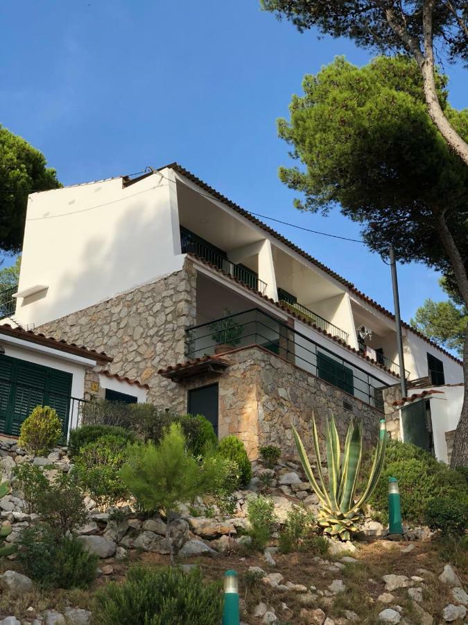 Apartment Islas Medas Wifi Y Parking Gratis